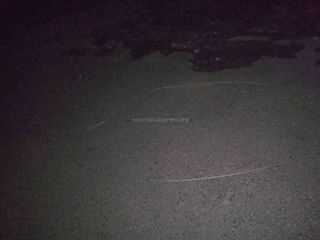 На участке ул.Бакаева провод от ЛЭП лежит на дороге, - бишкекчанин (фото)