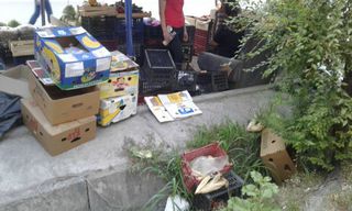 Мэрия о мусоре около рынка «Чынар»: Данная территория относится к Лебединовскому айыл окмоту