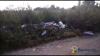 В селе Каирма вывозится мусор по мере накопления, - Аламединская РГА