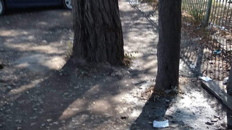 Бишкекчанин Александр жалуется на состояние тротуара по Асаналиева. Фото