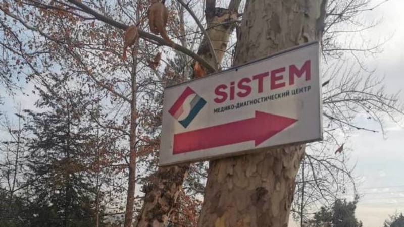 Таблички медцентра Sistem прибиты к деревьям. Фото