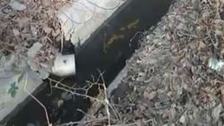 На Сеченова горожанин подключил канализационный сток к арыку. Видео