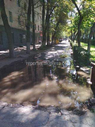 Затопление тротуара на пр.Айтматова было оперативно устранено, - «Бишкекзеленхоз»
