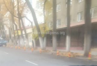 Кафе и банк на Логвиненко-Боконбаева ограничили доступ к парковке. Законно ли?