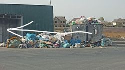 На Молдокулова баки завалены мусором. Фото