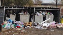 В Тунгуче не убирают мусор. Фото