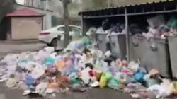 Гора мусора в Октябрьском районе. Видео