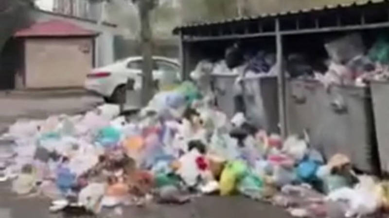 Гора мусора в Октябрьском районе. Видео
