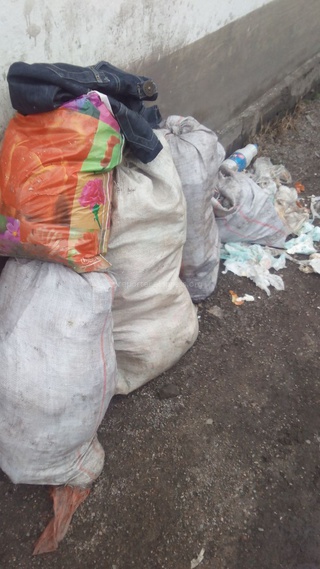 Читатель сообщает, что уже 3 неделю в переулке Гатчинский не убирается мусор <b><i> (фото) </i></b>