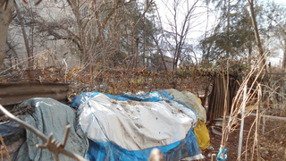 Жительница жилгородка Совмина продолжает собирать огромные кучи мусора, несмотря на предупреждения, - соседи <b><i> (фото) </i></b>