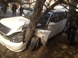 По ул.Токомбаева автомобиль «Лексус LS 430» вылетел с трассы и врезался в дерево и столб <b><i> (фото) </i></b>