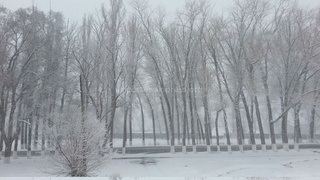 Снег в Чолпон-Ате <b><i> (фото,видео) </i></b>