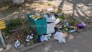 В парке имени Ататюрка мусор убирается до 12 часов, - мэрия