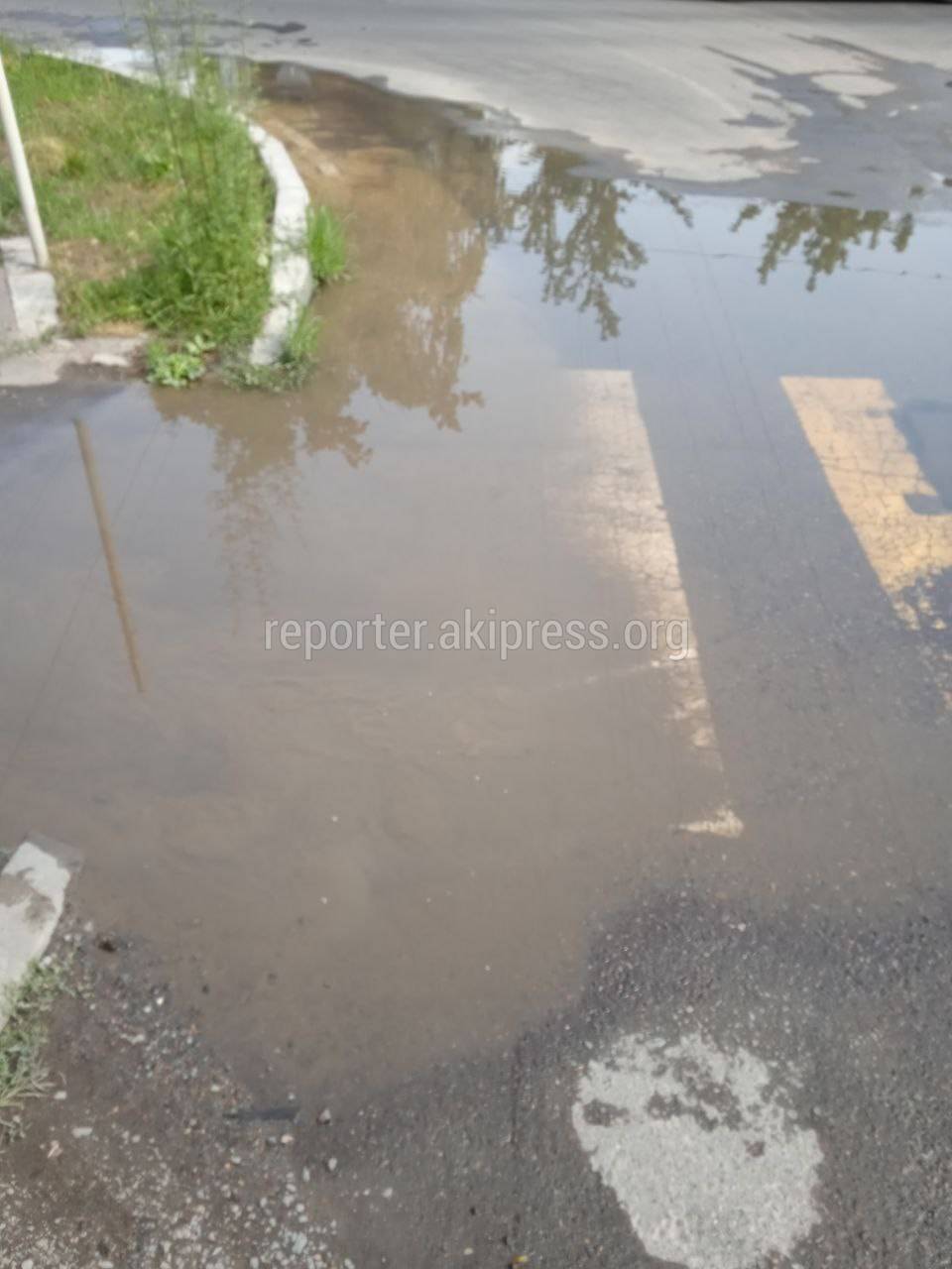 В дзержинском прорвало трубу