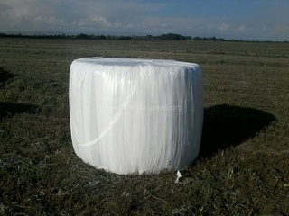 В Иссык-Атинском районе начали заготавливать сенаж в полиэтиленовых рулонах весом 400-500 кг <b><i>(фото)</i></b>