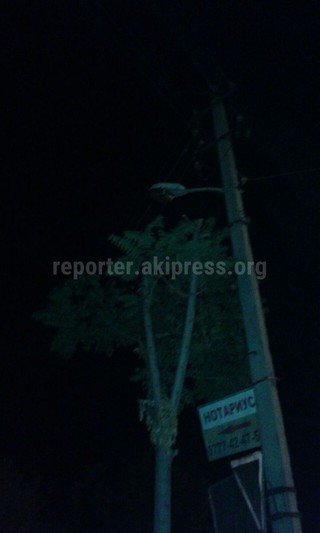 Житель улицы А.Шакирова города Ош сообщает, что лампа ночного освещения перегорела и просит заменить ее <i>(фото)</i>