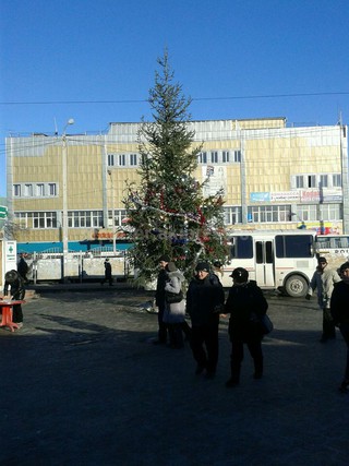 <b><i>Фото</i></b> новогодней елки на Ошском рынке