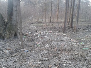 «Тазалык» ликвидировал завал мусора в парке Ататюрка
