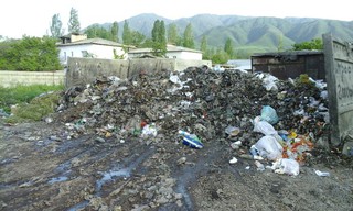 Жидкость из мусорных баков в селе Таш-Добо стекает в сторону жилых домов, - читатель (фото)