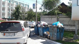 На перекрестке Киевская-Шопокова 3 сутки не убирается мусор (фото)