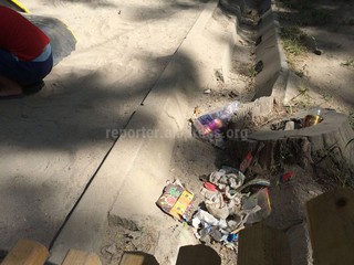 Читатель жалуется на мусор в детской площадке на Молодой Гвардии-Чокморова (фото, видео)