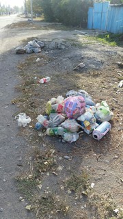 На ул.Омурбекова в городе Талас длительное время не убирается мусор, - читатель (фото)