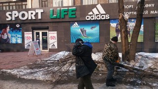 Сотрудники бишкекского «Зеленстроя» выехали на уборку дерева возле магазина «Спорт лайф»