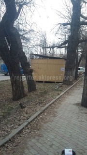 Законно ли установили павильон на Усенбаева-Боконбаева в Бишкеке? - читатель (фото)