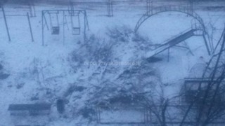 Бишкекчанин просит убрать дерево, которое упало на детскую площадку дома №15 в мкр Юг-2 (фото)