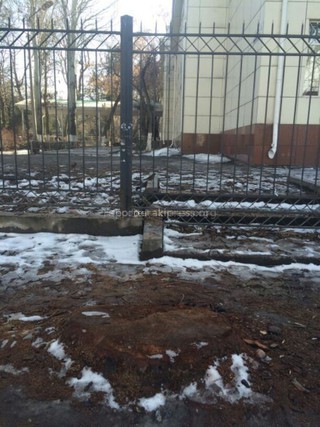 «Зеленстрой» срубил дерево возле школы №6, так как оно было признано аварийным