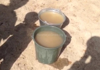 В селе Октябрь Кара-Суйского района жители используют воду из грязного канала в качестве питьевой <i>(видео)</i>