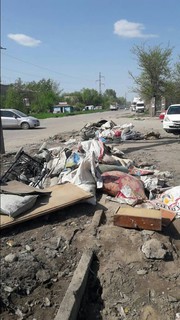 Читатель просит убрать мусор на улице Садыгалиева (фото)