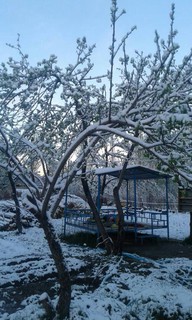 В Таласском районе выпал снег <b><i>(фото)</i></b>