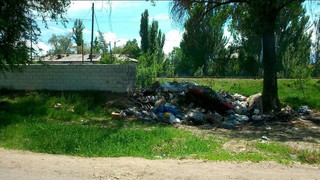 На ул.Куренкеева в Канте скопился мусор (фото)