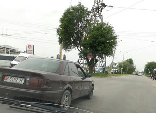 На пересечении улиц Омуракунова и Ашар в жилмассиве Ак-Орго из-за деревьев не видно светофора (фото)
