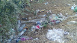 На улице Осмонкула рядом с БЧК нет мусорных контейнеров