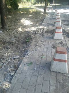 Бишкекчанин просит установить урны для мусора возле магазина «Колобок» на ул.Токтогула