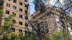 На ул.Боконбаева ветки старого дерева упали на провода, - бишкекчанин
