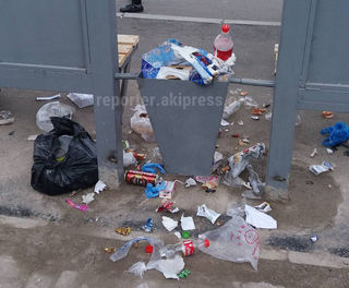 Читатель жалуется на мусор на остановке около 5 поликлиники в Бишкеке (фото)