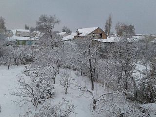 В Караколе выпал снег <i>(фото)</i>