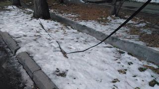 На Логвиненко-Токтогула на земле лежат свисающие провода <i>(фото, видео)</i>