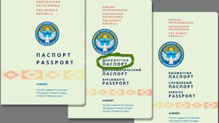 ГРС признала, что «специально сделала ошибку» в образце новых паспортов для привлечения внимания