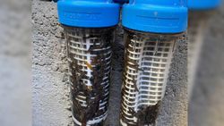 В Аламедине житель обнаружил червей в водопроводной воде <i>(видео)</i>