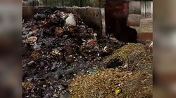 В Нарыне возле школы сжигают накопившийся мусор <i>(видео)</i>