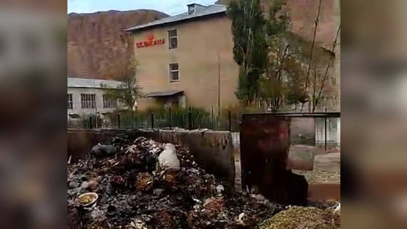 В Нарыне возле школы сжигают накопившийся мусор (видео)