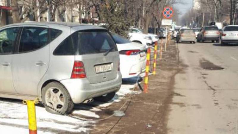 Законно ли установили парковочные барьеры на улице Панфилова? Фото