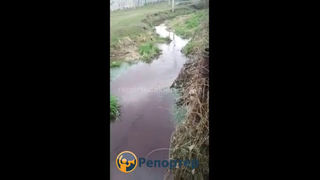 В речке в селе Новопокровка текла красная вода (видео)