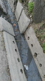 Бишкекчанин просит не выливать сточные воды в арык на участке ул.Жукеева-Пудовкина
