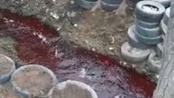 В Нижней Ала-Арче в арыке течет кроваво-красная вода, - местный житель. Видео