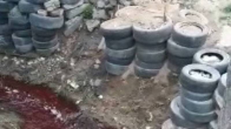 В Нижней Ала-Арче в арыке течет кроваво-красная вода, - местный житель. Видео